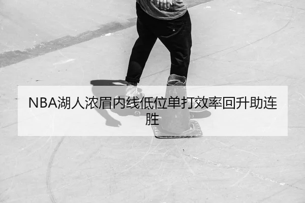 hu-ren-nong-mei-nei-xian-di-wei-dan-da-xiao-lv-hui-sheng-zhu-lian-sheng-2-488.jpg